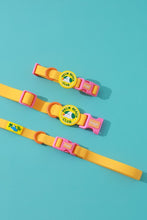 將圖片載入圖庫檢視器 [現貨]doggupets 防水項圈
