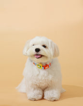 將圖片載入圖庫檢視器 [現貨]doggupets 防水項圈
