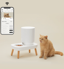 將圖片載入圖庫檢視器 [預購] duit the table plus | 餐桌型寵物餵食機 | 韓國貓咪自動餵食機市佔率第一
