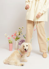 將圖片載入圖庫檢視器 [現貨/預購] doggupets 爆款可愛胸背帶牽繩套組

